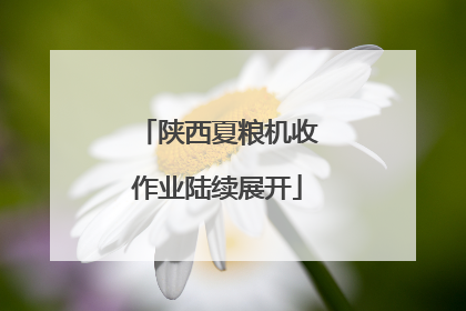 陕西夏粮机收作业陆续展开