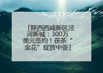 陕西西咸新区泾河新城：300万美元签约！茯茶“金花”绽放中亚