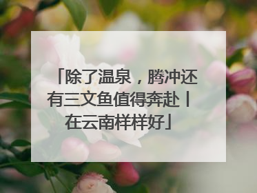 除了温泉，腾冲还有三文鱼值得奔赴丨在云南样样好