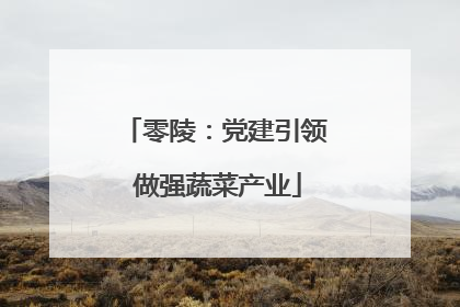 零陵：党建引领 做强蔬菜产业