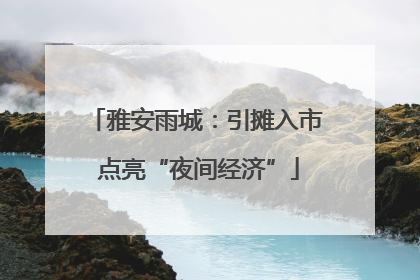 雅安雨城：引摊入市 点亮“夜间经济”