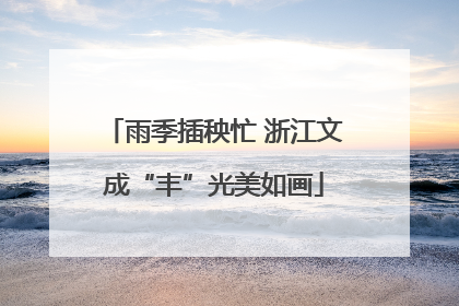 雨季插秧忙 浙江文成“丰”光美如画