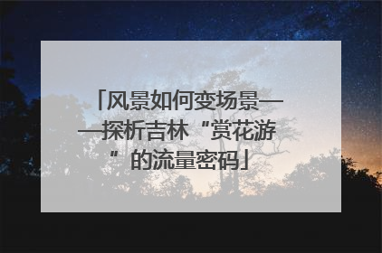 风景如何变场景——探析吉林“赏花游”的流量密码