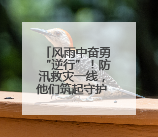 风雨中奋勇“逆行”！防汛救灾一线，他们筑起守护的“藏蓝堤坝”