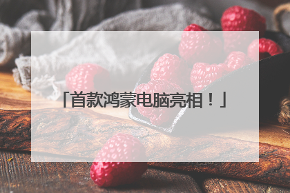 首款鸿蒙电脑亮相！