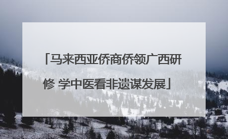 马来西亚侨商侨领广西研修 学中医看非遗谋发展