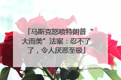 马斯克怒喷特朗普“大而美”法案：忍不了了，令人厌恶至极