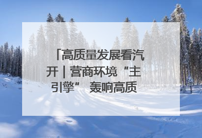 高质量发展看汽开｜营商环境“主引擎” 轰响高质量发展新赛道