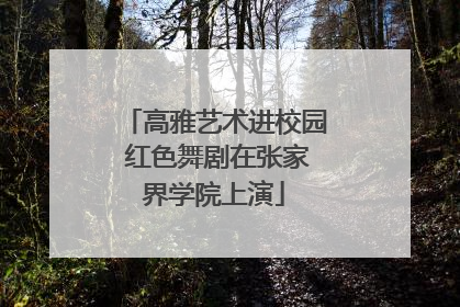 高雅艺术进校园 红色舞剧在张家界学院上演