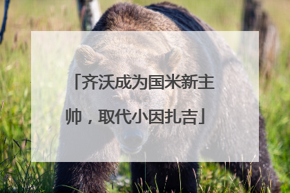齐沃成为国米新主帅，取代小因扎吉