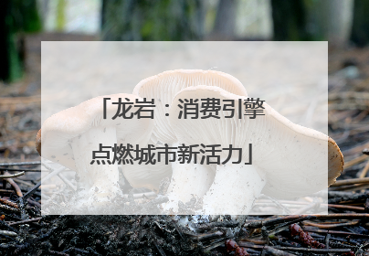 龙岩：消费引擎点燃城市新活力