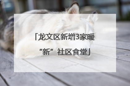 龙文区新增3家暖“新”社区食堂