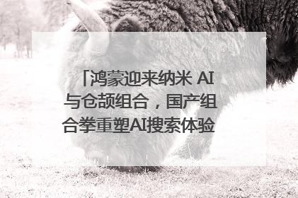鸿蒙迎来纳米 AI 与仓颉组合，国产组合拳重塑AI搜索体验｜新经济观察