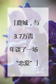 鹿城，与3.7万青年谈了一场“恋爱”