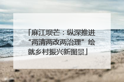 麻江坝芒：纵深推进“两清两改两治理”绘就乡村振兴新图景