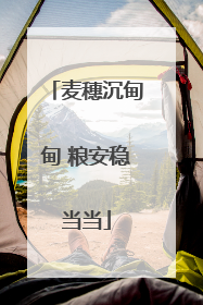 麦穗沉甸甸 粮安稳当当