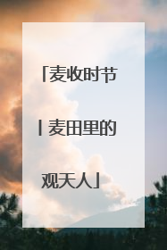 麦收时节丨麦田里的观天人