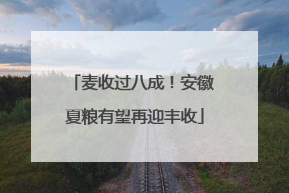 麦收过八成！安徽夏粮有望再迎丰收