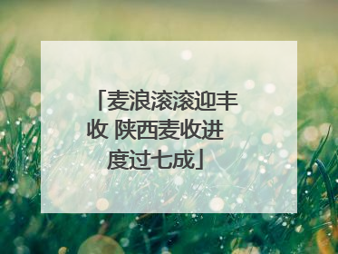 麦浪滚滚迎丰收 陕西麦收进度过七成