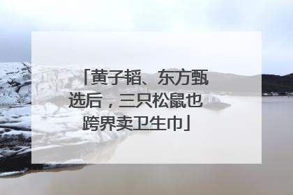 黄子韬、东方甄选后，三只松鼠也跨界卖卫生巾