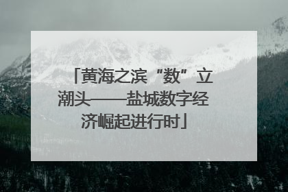 黄海之滨“数”立潮头——盐城数字经济崛起进行时