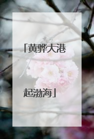 黄骅大港起渤海