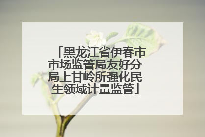 黑龙江省伊春市市场监管局友好分局上甘岭所强化民生领域计量监管