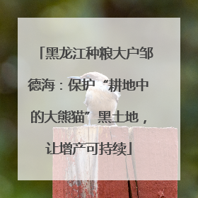 黑龙江种粮大户邹德海：保护“耕地中的大熊猫”黑土地，让增产可持续