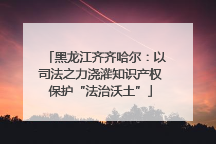 黑龙江齐齐哈尔：以司法之力浇灌知识产权保护“法治沃土”