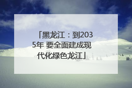 黑龙江：到2035年 要全面建成现代化绿色龙江