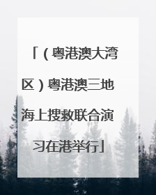 （粤港澳大湾区）粤港澳三地海上搜救联合演习在港举行
