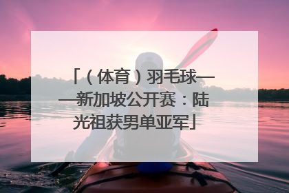 （体育）羽毛球——新加坡公开赛：陆光祖获男单亚军