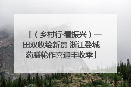 （乡村行·看振兴）一田双收绘新景 浙江婺城药膳轮作喜迎丰收季