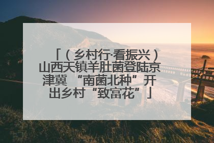 （乡村行·看振兴）山西天镇羊肚菌登陆京津冀 “南菌北种”开出乡村“致富花”