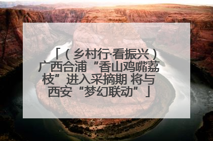 （乡村行·看振兴）广西合浦“香山鸡嘴荔枝”进入采摘期 将与西安“梦幻联动”