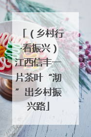 （乡村行·看振兴）江西信丰一片茶叶“沏”出乡村振兴路