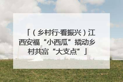 （乡村行·看振兴）江西安福“小西瓜”撬动乡村共富“大支点”