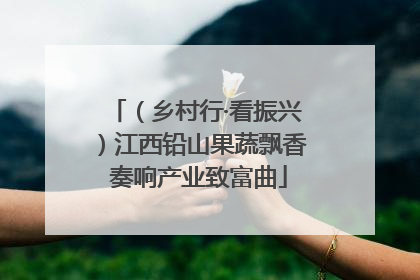（乡村行·看振兴）江西铅山果蔬飘香 奏响产业致富曲