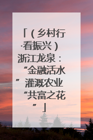 （乡村行·看振兴）浙江龙泉：“金融活水”灌溉农业“共富之花”