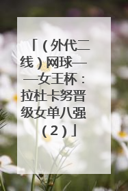 （外代二线）网球——女王杯：拉杜卡努晋级女单八强（2）