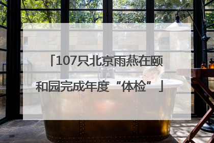 107只北京雨燕在颐和园完成年度“体检”