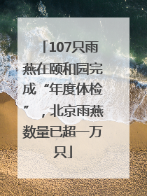 107只雨燕在颐和园完成“年度体检”，北京雨燕数量已超一万只