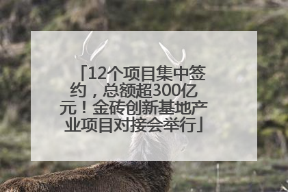 12个项目集中签约，总额超300亿元！金砖创新基地产业项目对接会举行