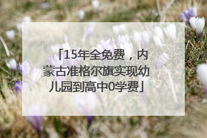 15年全免费，内蒙古准格尔旗实现幼儿园到高中0学费