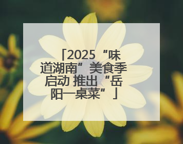 2025“味道湖南”美食季启动 推出“岳阳一桌菜”
