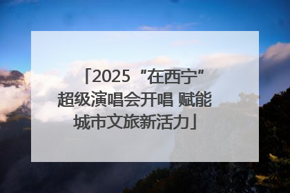 2025“在西宁”超级演唱会开唱 赋能城市文旅新活力