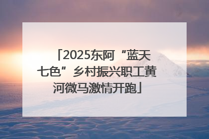 2025东阿“蓝天七色”乡村振兴职工黄河微马激情开跑