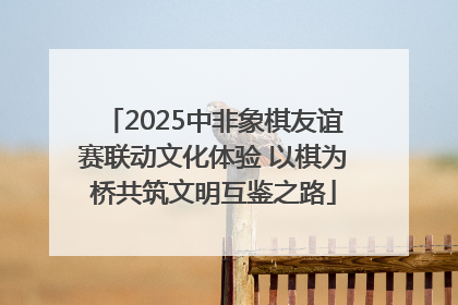 2025中非象棋友谊赛联动文化体验 以棋为桥共筑文明互鉴之路