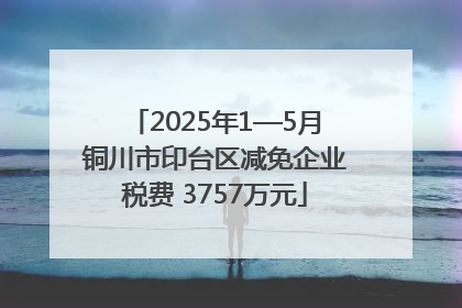 2025年1—5月铜川市印台区减免企业税费 3757万元