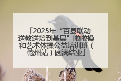 2025年“百县联动送教送培到基层”啦啦操和艺术体操公益培训班（赣州站）圆满结业